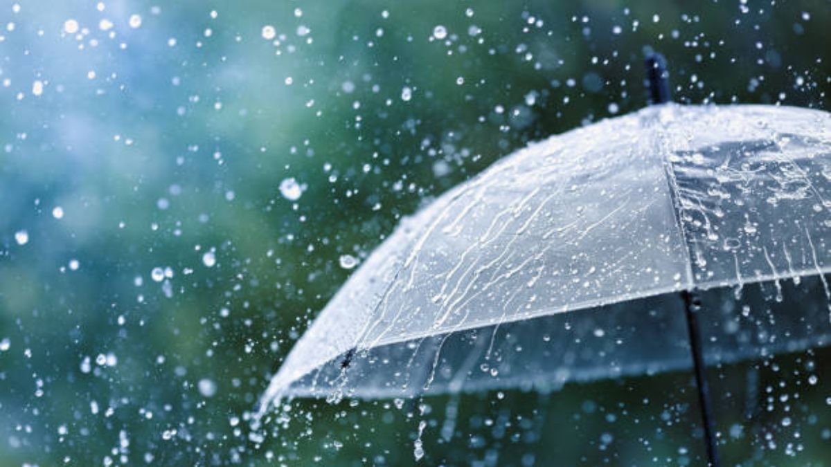MP Weather: मध्य प्रदेश के 18 जिलों में भारी बारिश का अलर्ट, अगले 4 दिनों में जमकर बरसेंगे बादल, स्ट्रांग सिस्टम होगा एक्टिव