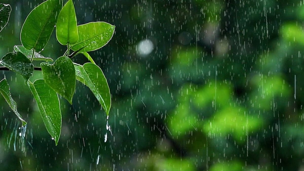 मुंबई में मूसलाधार बारिश से जनजीवन हुआ ठप, स्कूल- कॉलेज बंद, IMD ने जारी किया रेड अलर्ट