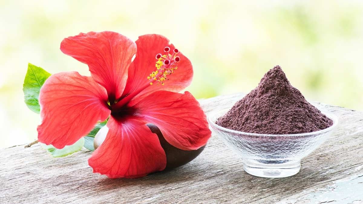गुलहड़ पाउडर से पाएं चमकदार त्वचा, जानें प्राकृतिक निखार का रहस्य,  सस्ता और घरेलू उपाय