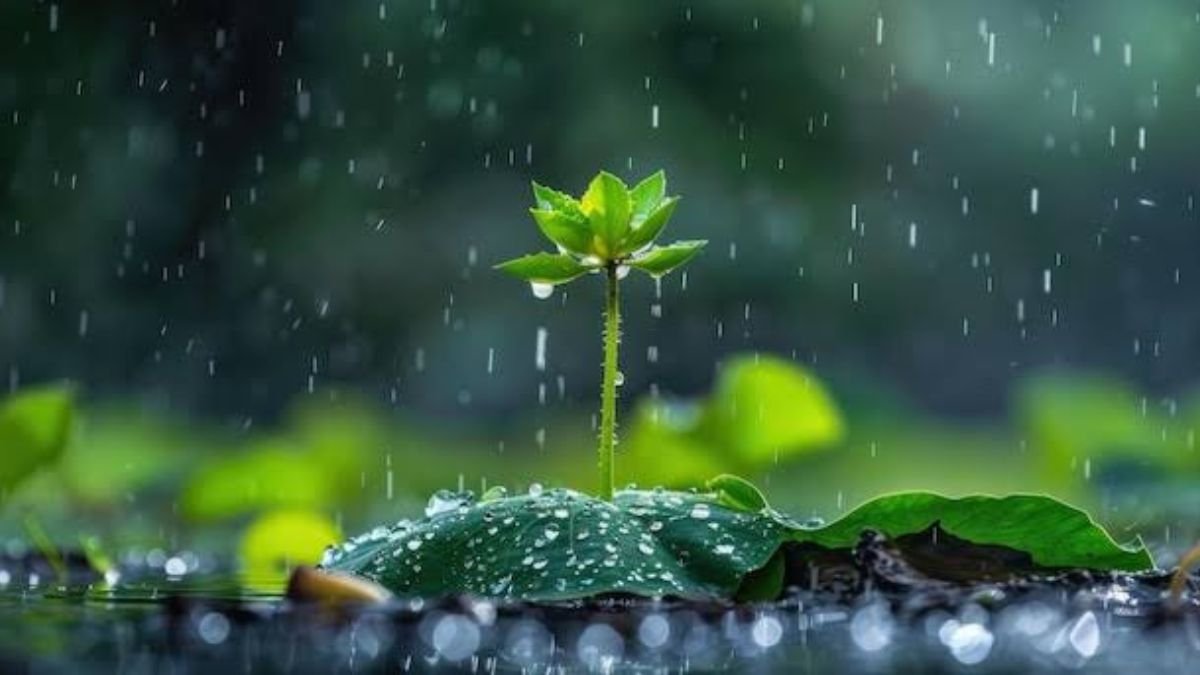 लो प्रेशर सिस्टम से फिर बदला MP का मौसम, 4 दिन तक रहेगा असर; दिन में गर्मी और रात में ठंड का एहसास बढ़ा