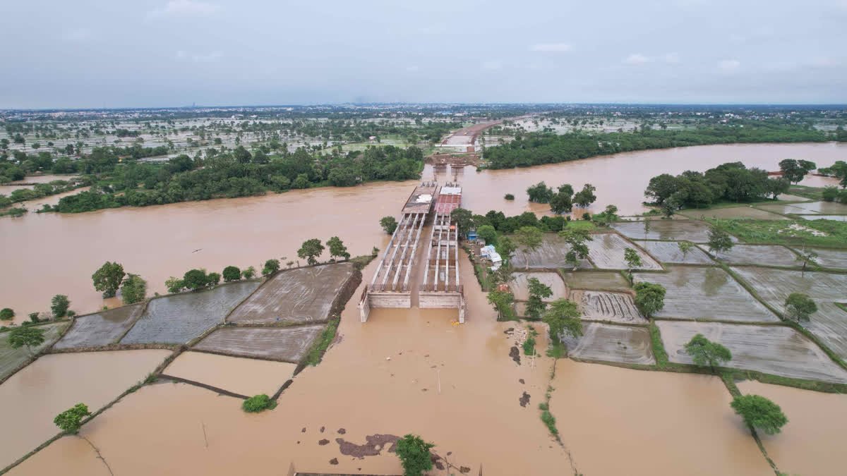 दक्षिण और पूर्वी एशिया में मची तबाही, पाकिस्तान में मानसूनी बारिश का कहर; 650 से ज्यादा मौतें