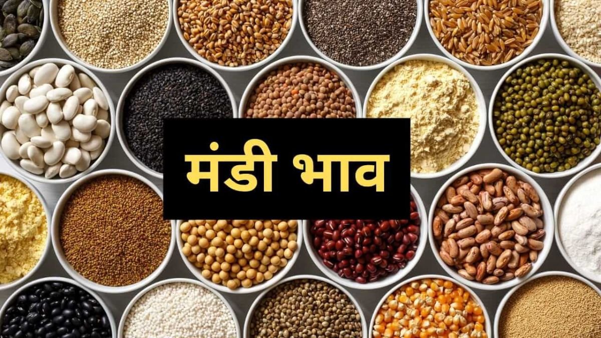 2 अगस्त 2025: इंदौर मंडी में अनाज, दाल और सब्ज़ियों के ताज़ा भाव