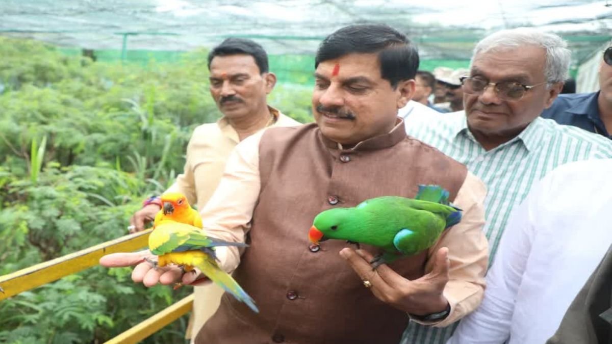 इंदौर चिड़ियाघर पहुंचे CM यादव, पक्षियों को खिलाया दाना; बायसन का किया निरीक्षण