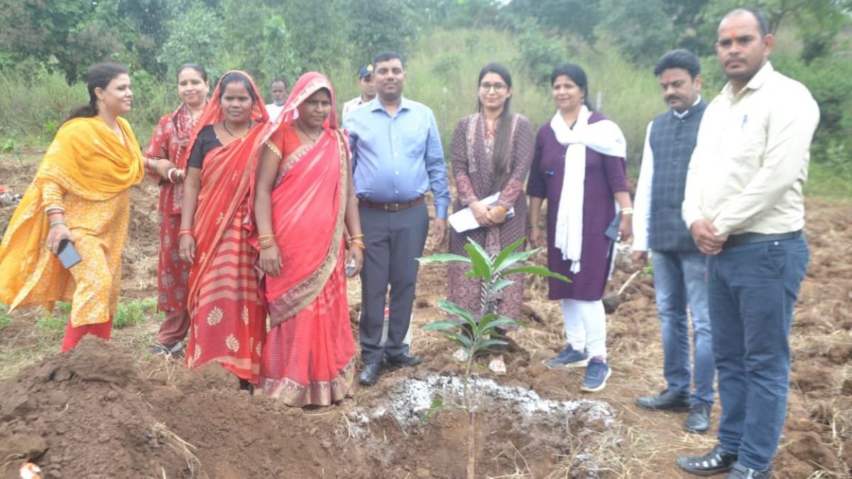 भानपुर केकड़िया पहंचे भोपाल कलेक्टर, “एक बगिया मां के नाम” योजना में लगाया आम का पौधा