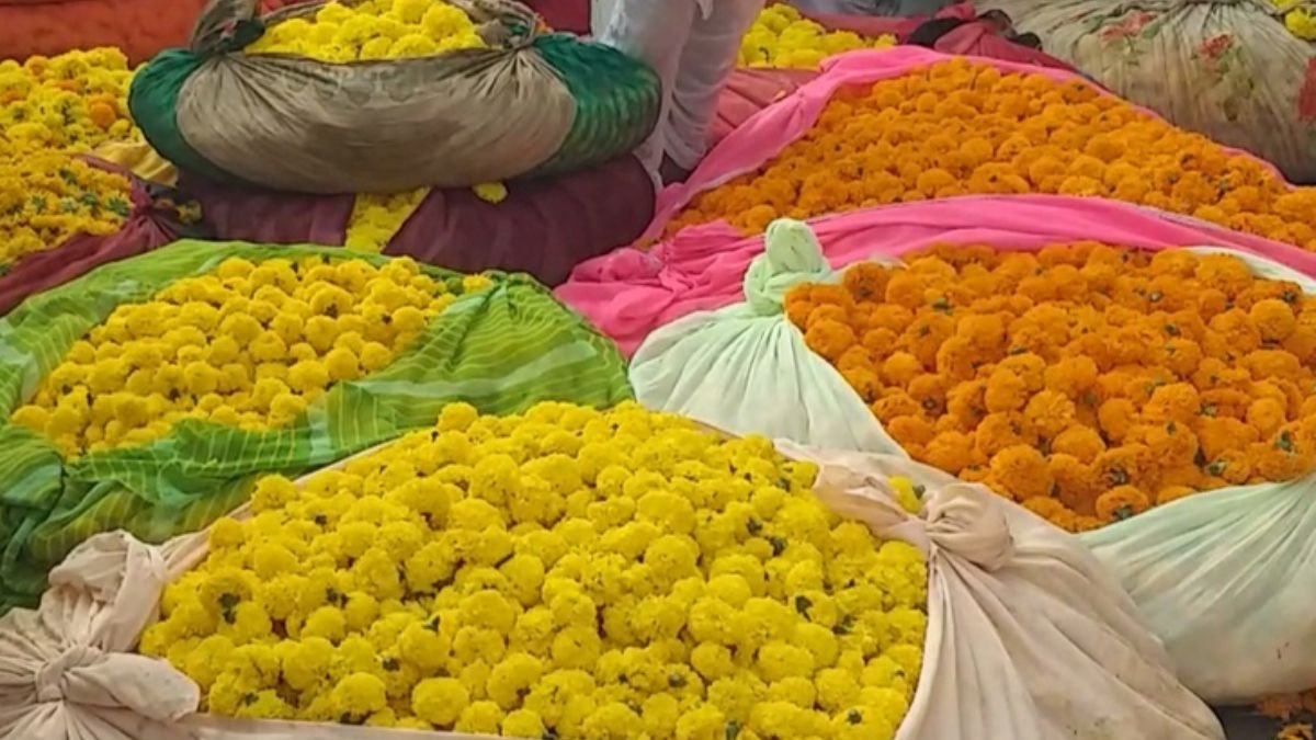 उज्जैन फूल मंडी में दीपावली से पहले भाव ऊंचे, गुलाब और गेंदा की खूब डिमांड