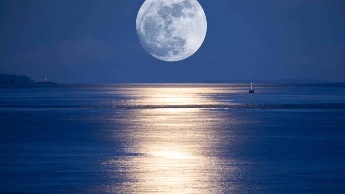 मार्गशीर्ष पूर्णिमा पर करें माता अन्नपूर्णा की पूजा, उनके आशीर्वाद से भरें घर के भंडार; जानें महत्व और दिव्य भोग