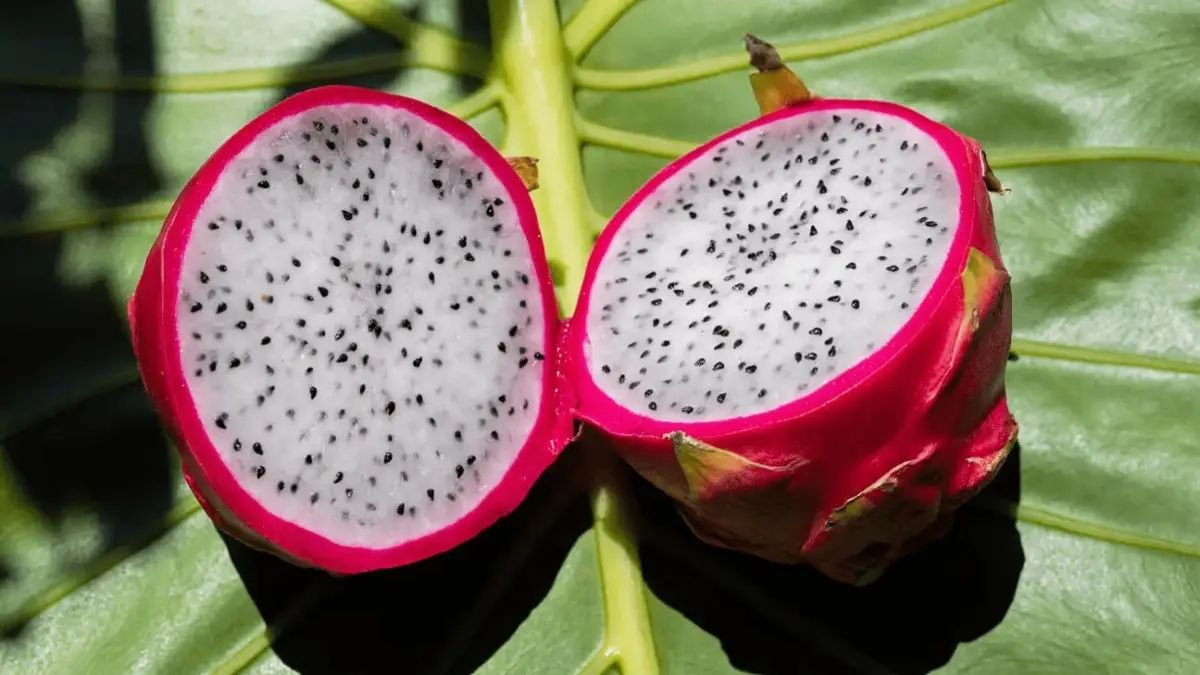 ड्रैगन फ्रूट स्वास्थ्य का सुपरफूड, दिल और पाचन दोनों के लिए फायदेमंद