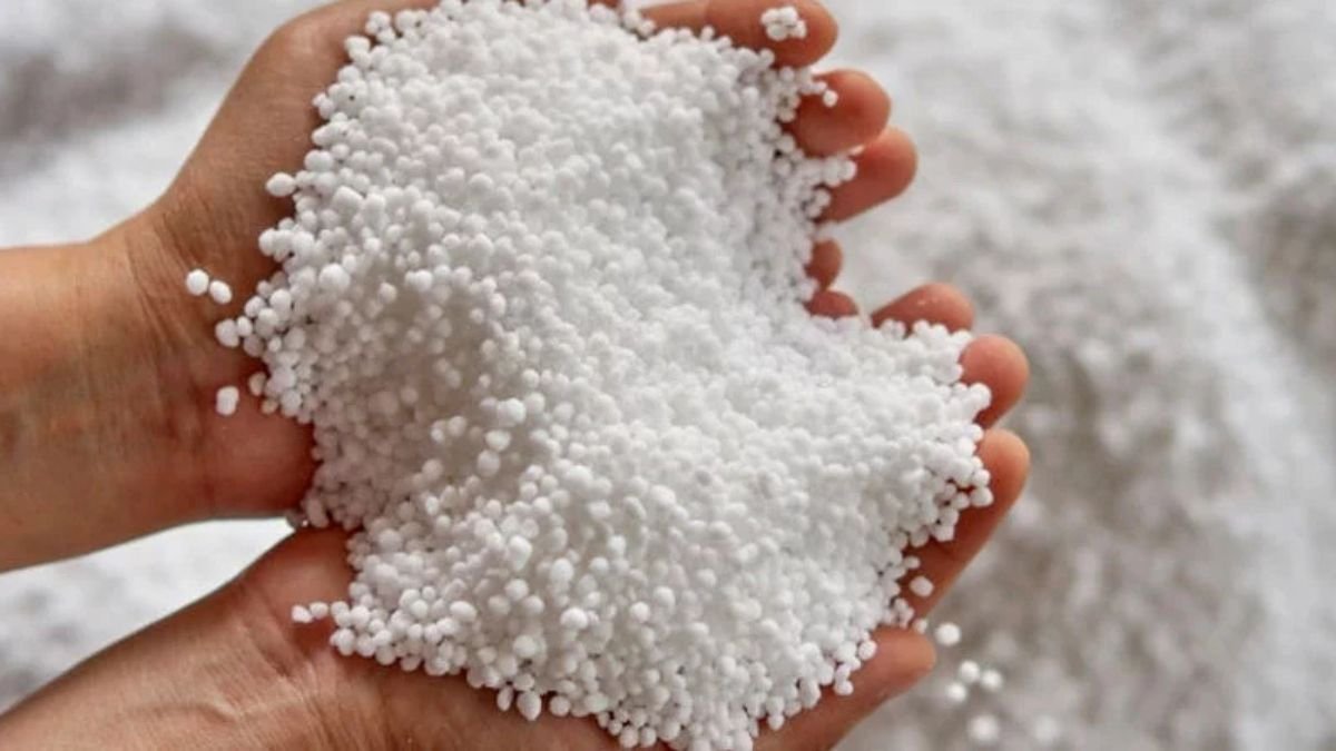 उज्जैन मंडी में यूरिया को लेकर हंगामा, किसानों ने किया चक्काजाम