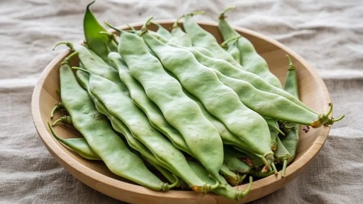 सर्दियों में खाएं सेमफली, पाएं हर रोज नई ऊर्जा और हेल्दी त्वचा; जानें इसके जादुई फायदे