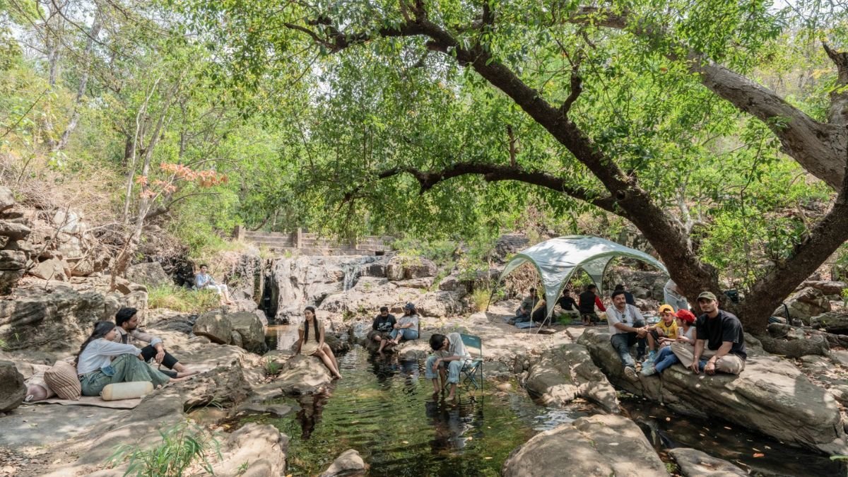 न कान्हा… न बांधवगढ़! न्यू ईयर पर MP में शहर के बीच मिलेगा जंगल का रोमांच, जानिए ये खास ठिकाना