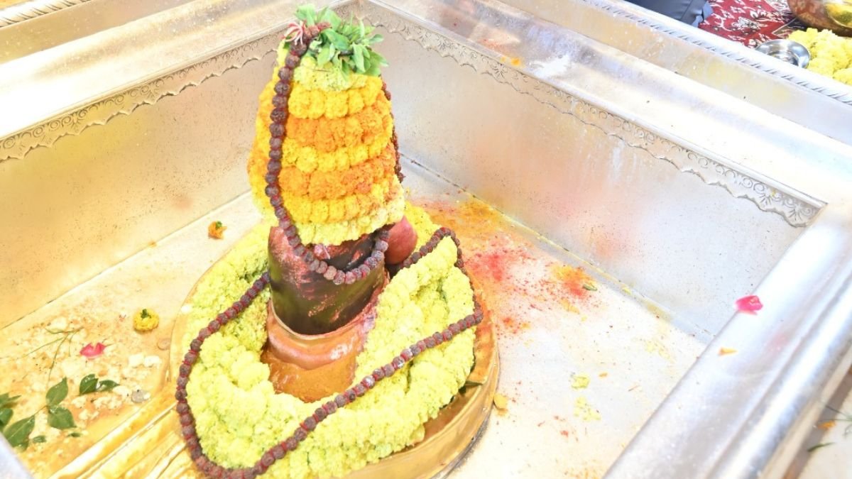 श्रद्धा और भक्ति के संग मनाई गई काशी विश्वनाथ धाम की चौथी वर्षगांठ, हुआ भव्य महा रुद्राभिषेक; उमड़ा श्रद्धालुओं का सैलाब