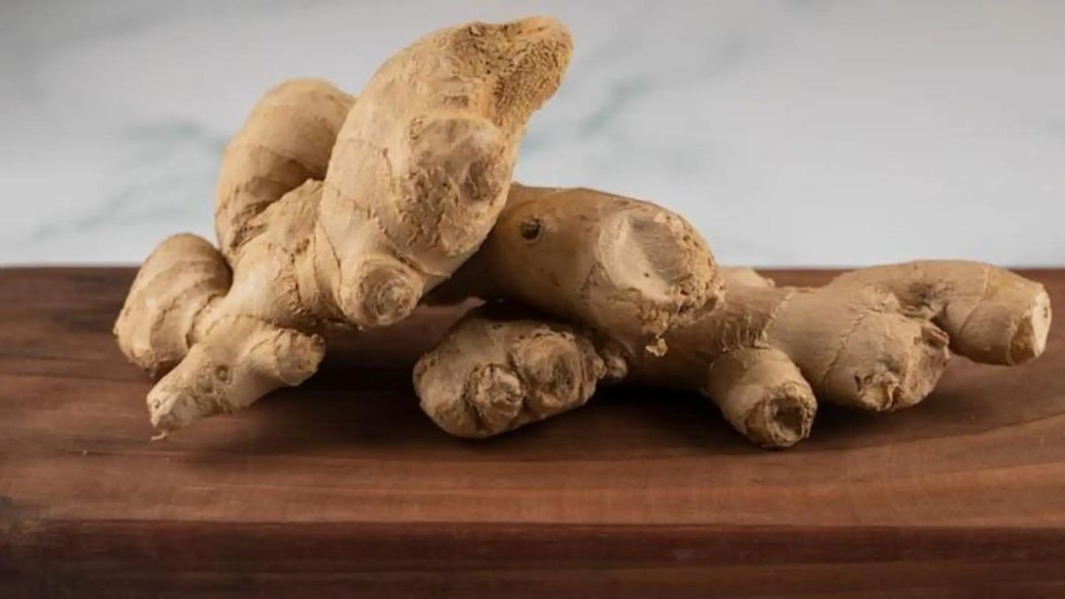 सर्दियों में फिट रहने के लिए रोजाना चबाएं अदरक, पाए खांसी और जुकाम से छुटकारा; जानें इसके चौंकाने वाले फायदे
