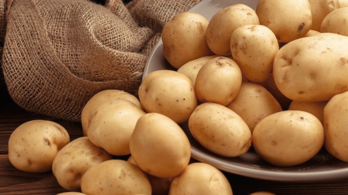 पहाड़ी आलू है प्राकृतिक सुपरफूड, पेट और इम्यूनिटी दोनों को रखें मजबूत