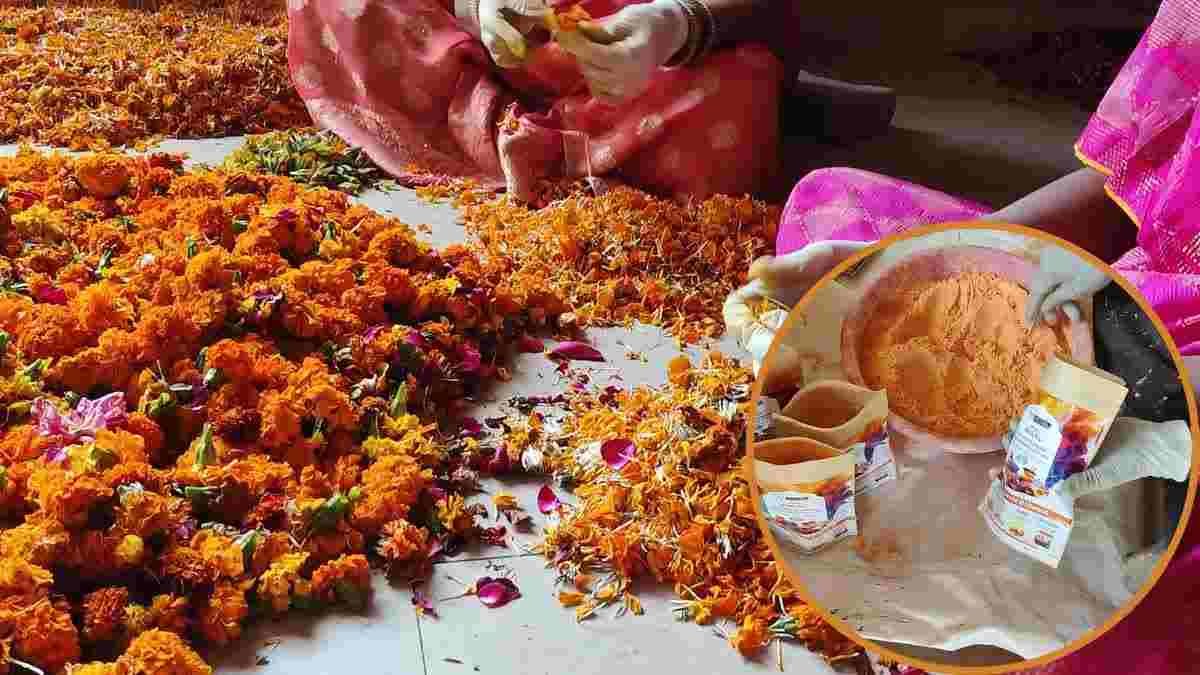 होलिका दहन से पहले उज्जैन में छाया फाग उत्सव का रंग, मंदिरों में गुलाल और फूलों की होली