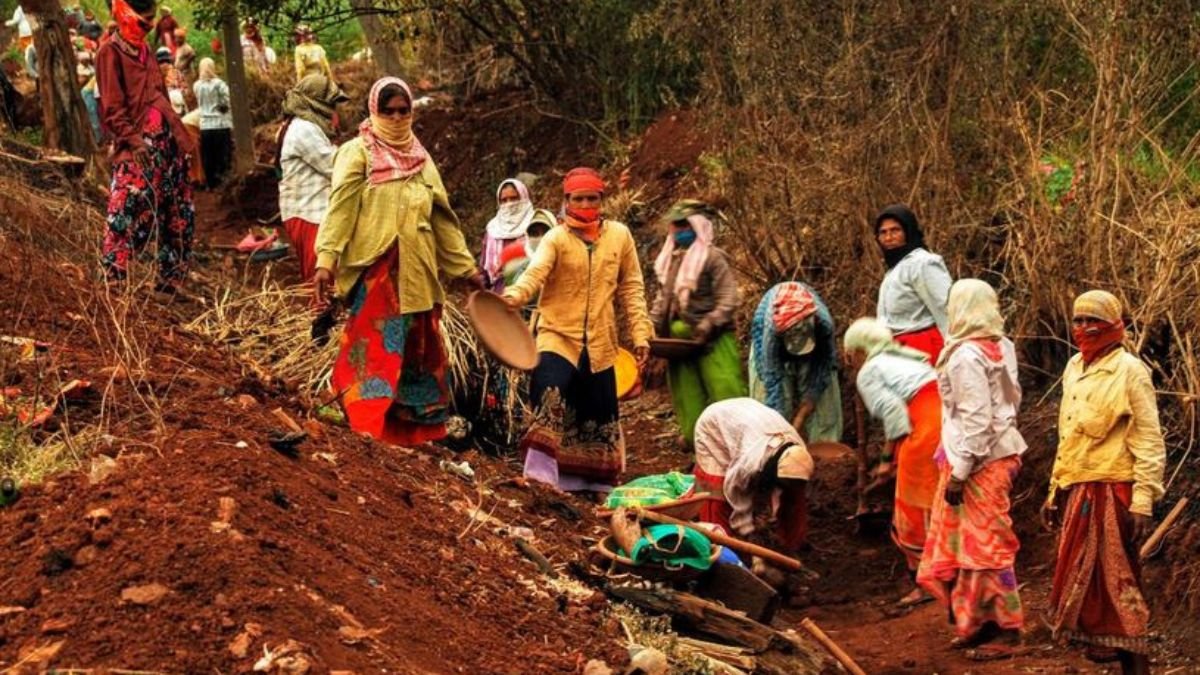 MP में मनरेगा फंड खत्म, केंद्र पर 704.64 करोड़ की देनदारी; राज्यसभा में खुलासा